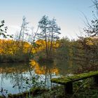 Herbstimpression vom Marstadter See