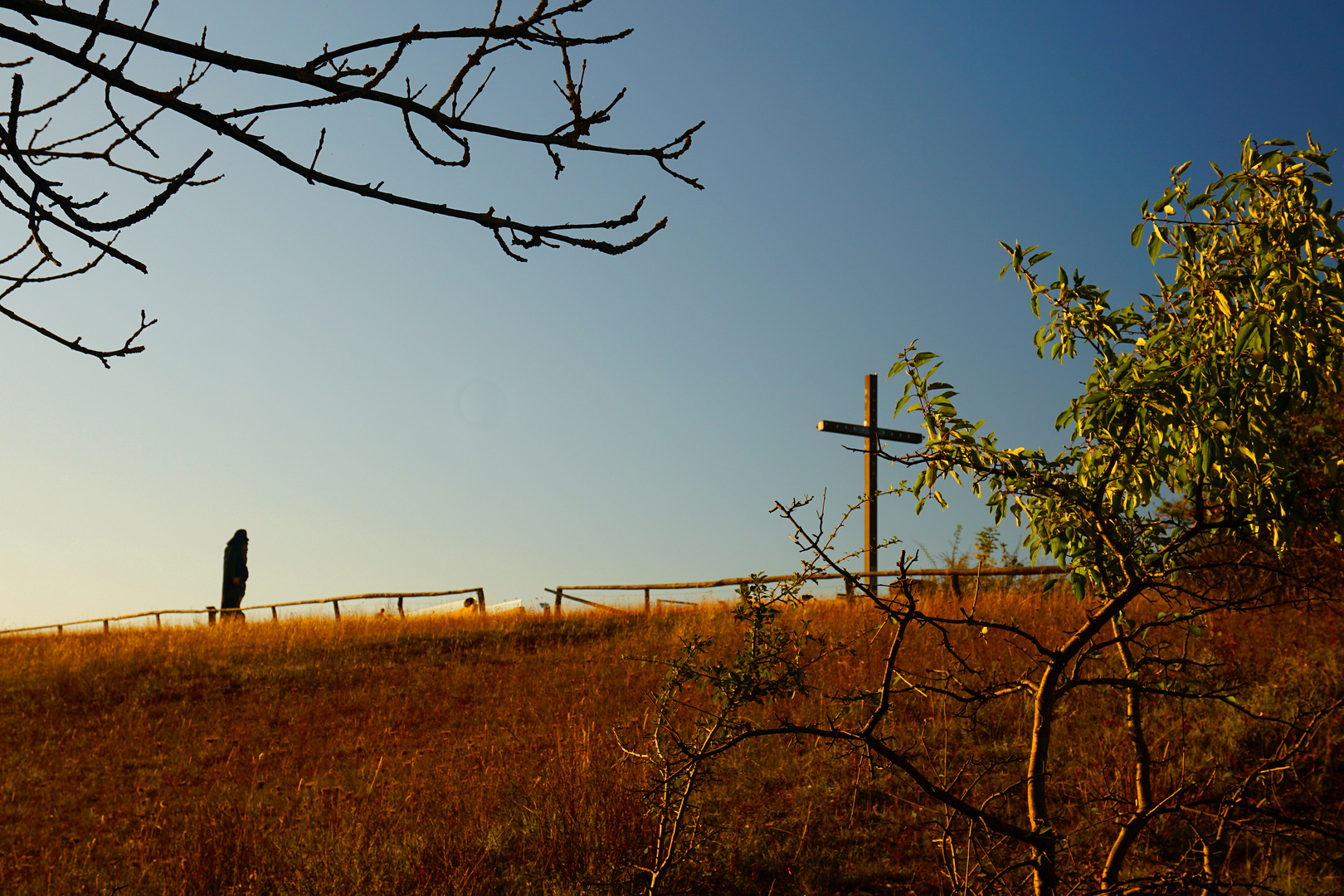 Herbstimpression vom Sonnenstein - Bild 4