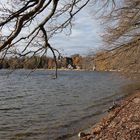 Herbstimpression vom Staffelsee