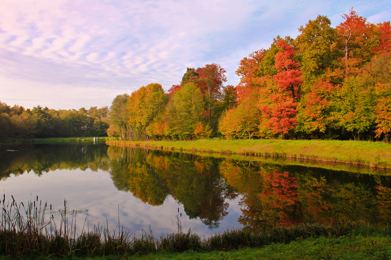 Herbstimpression2