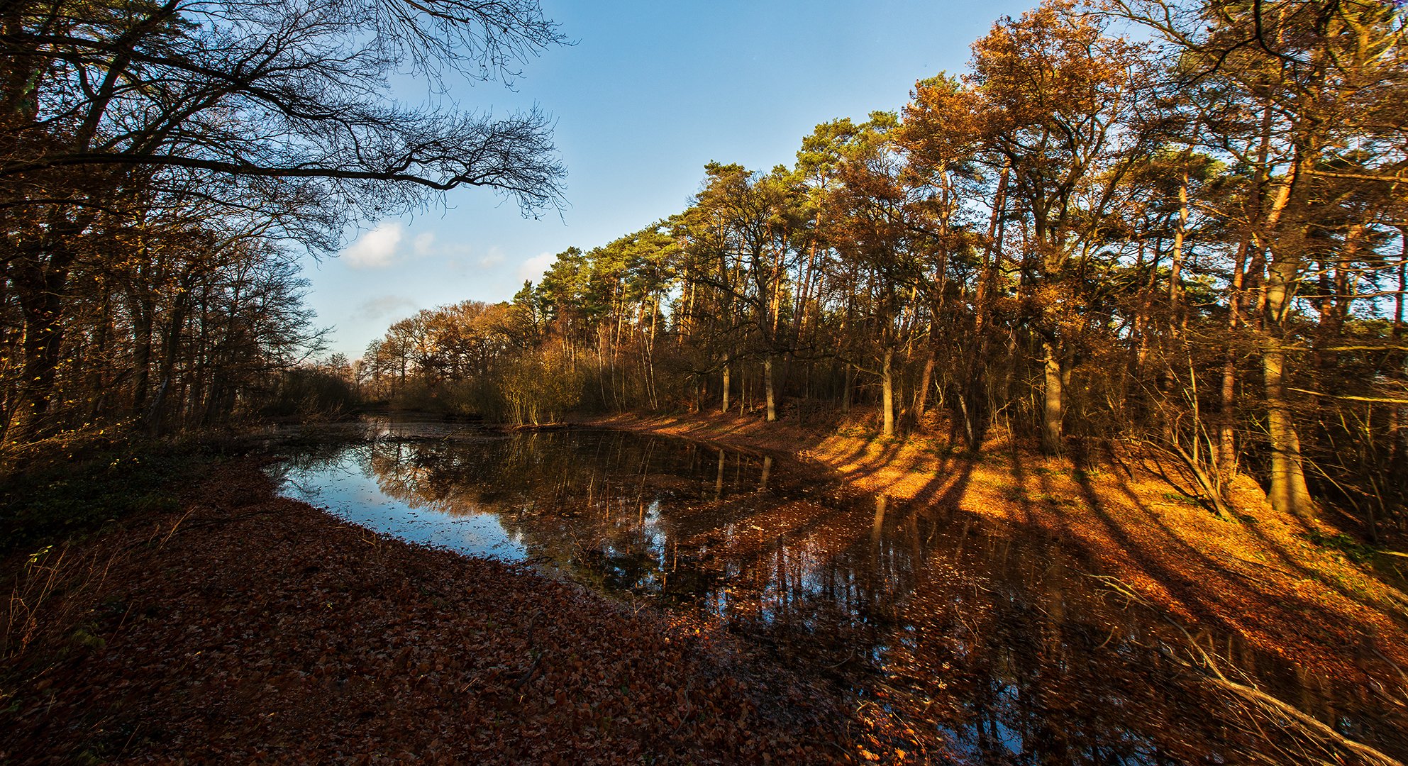 Herbstimpressionen 006 