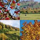 Herbstimpressionen