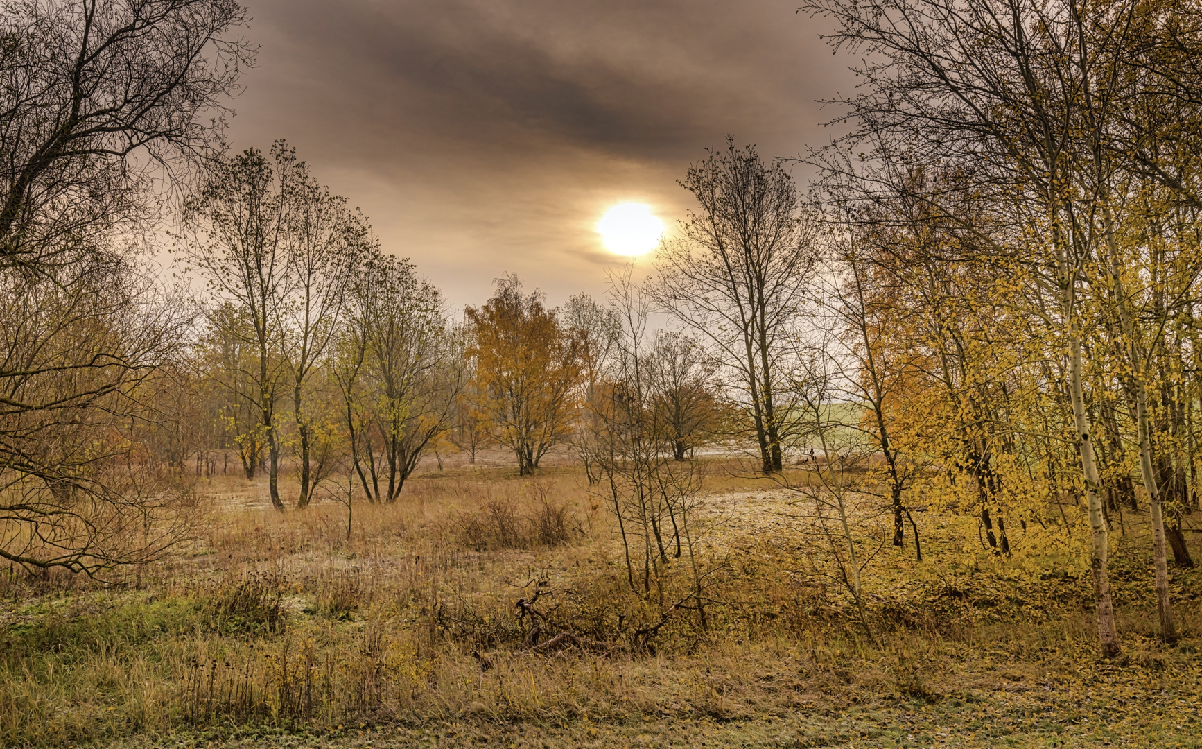 Herbstimpressionen