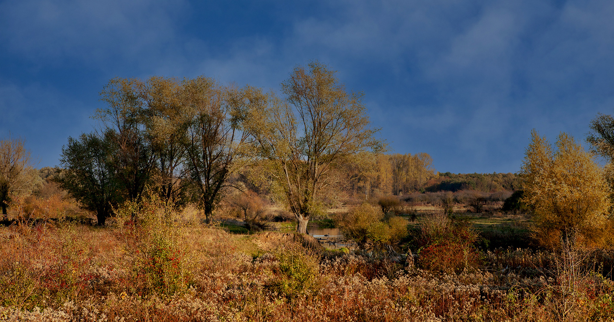 Herbstimpressionen