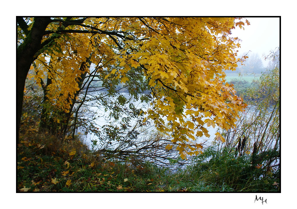 Herbstimpressionen 02