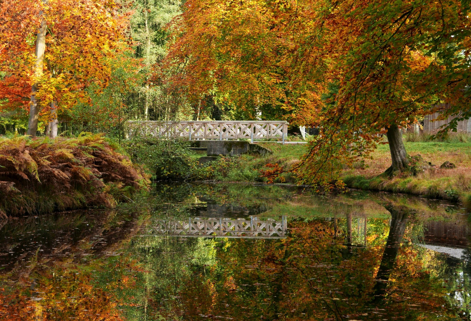 Herbstimpressionen,