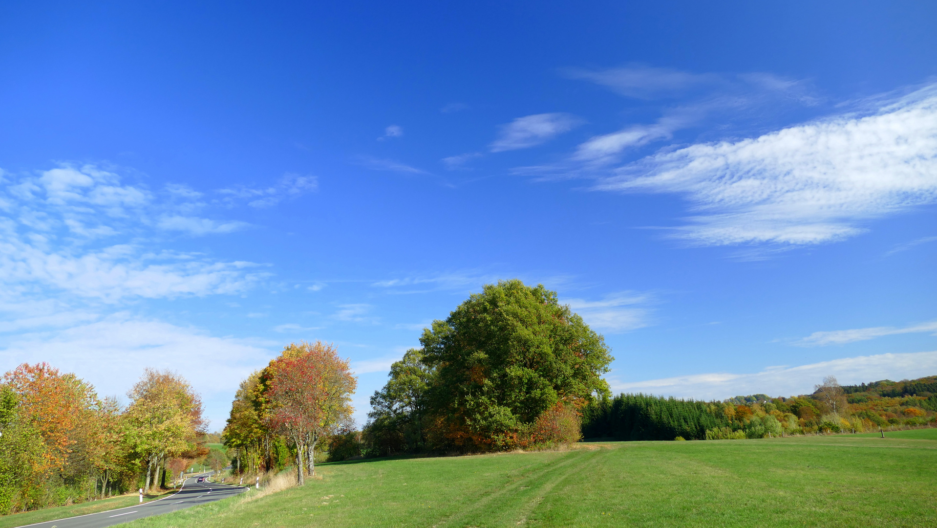 °°°° Herbstimpressionen °°°°