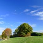 °°°° Herbstimpressionen °°°°