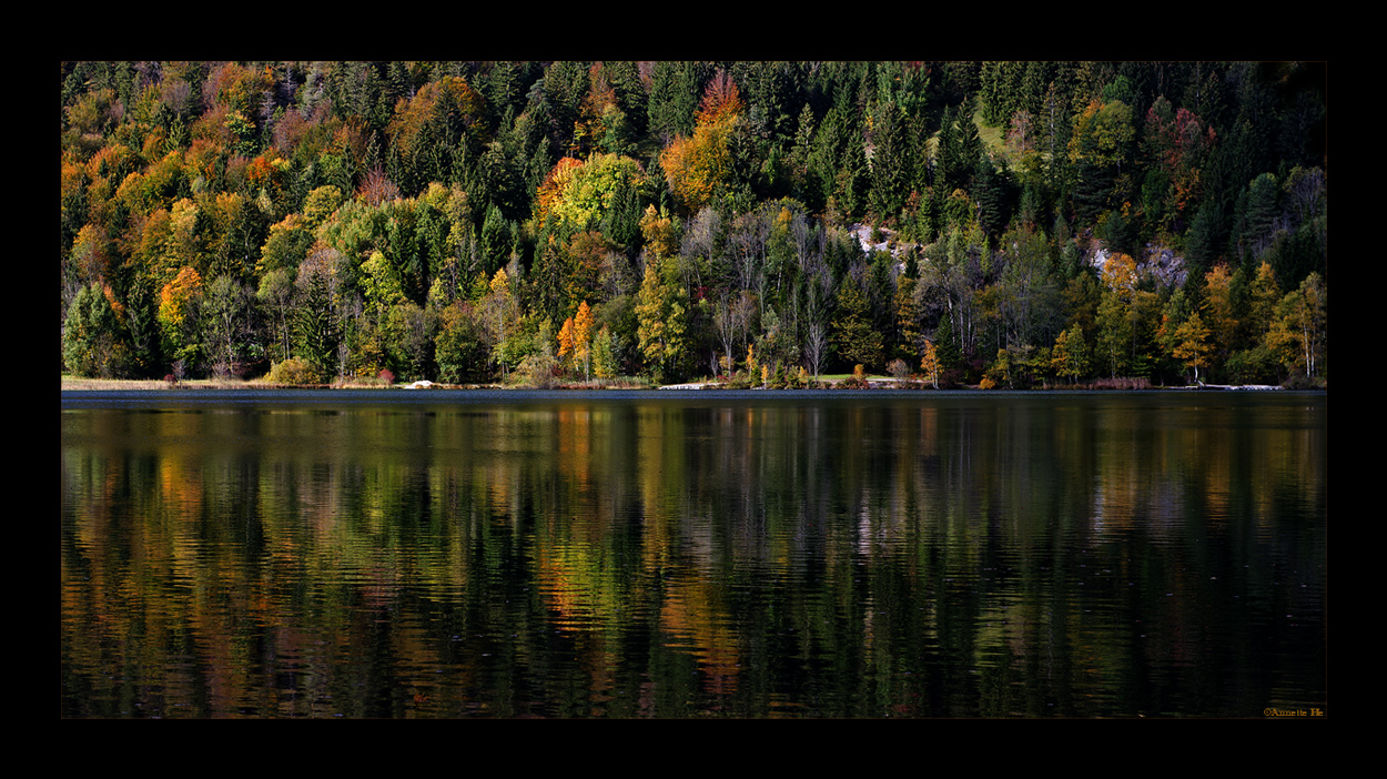 Herbstimpressionen