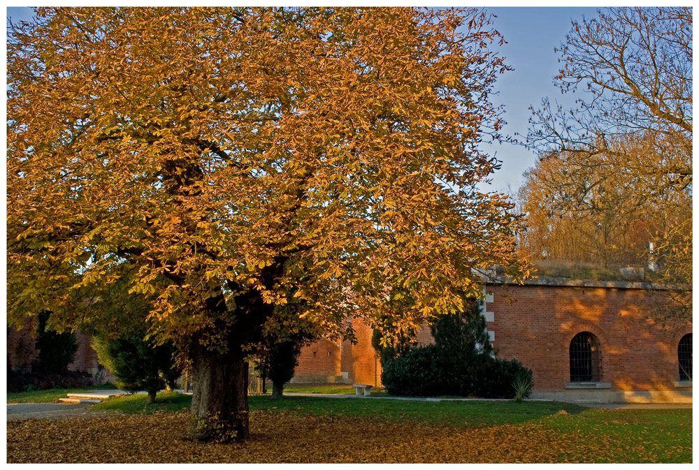 Herbstimpressionen