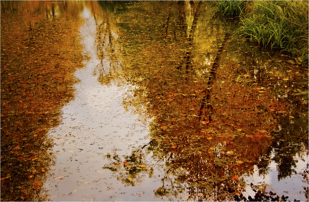 Herbstimpressionen