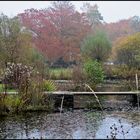 Herbstimpressionen 1