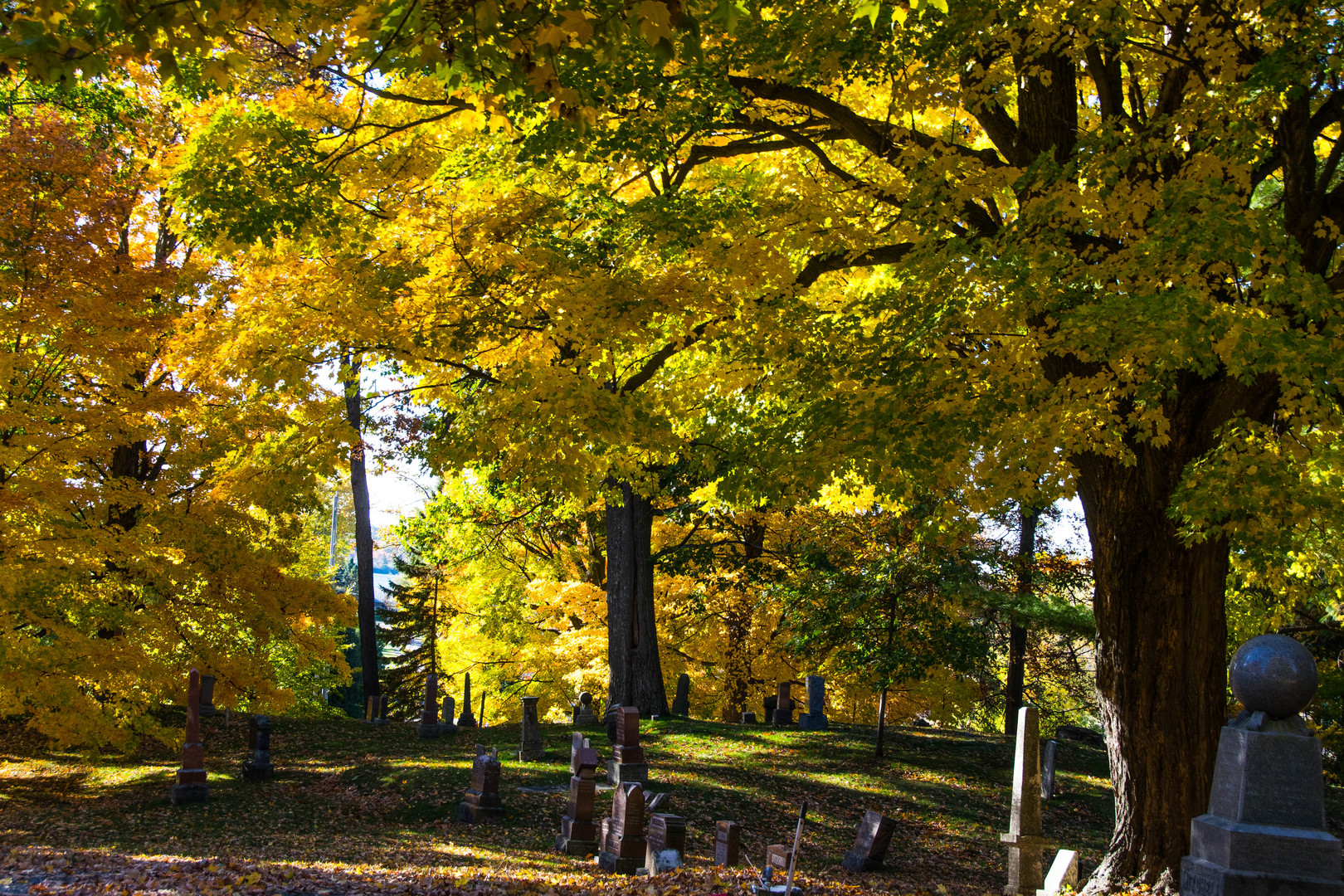 Herbstimpressionen 1