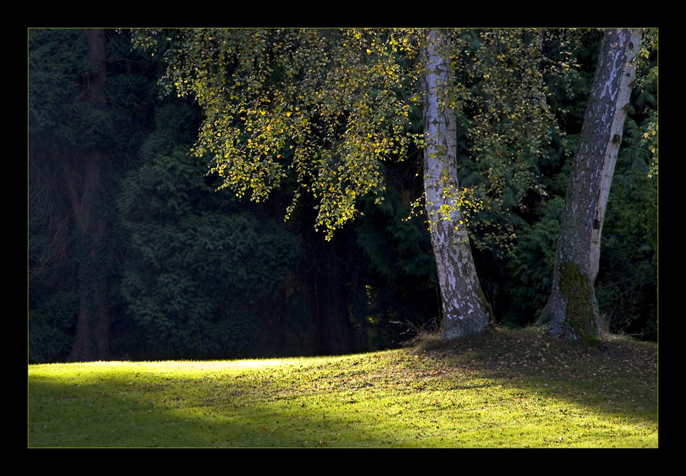 Herbstimpressionen #1