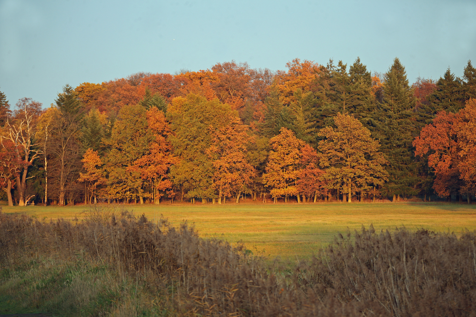 Herbstimpressionen -1-