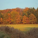 Herbstimpressionen -1-