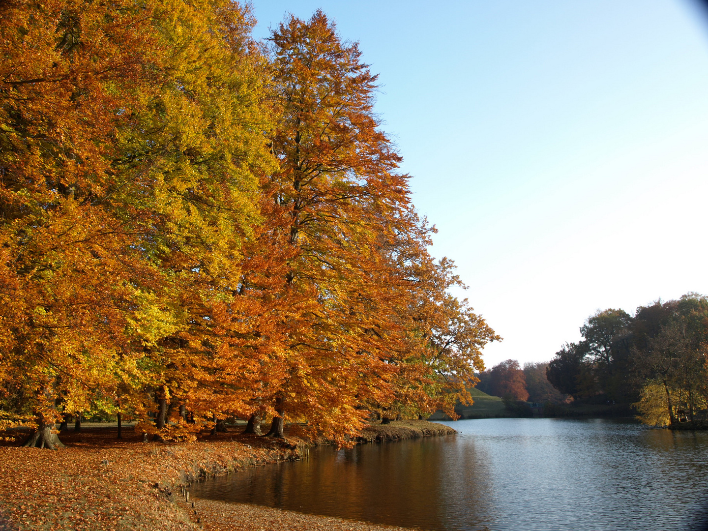 Herbstimpressionen 1