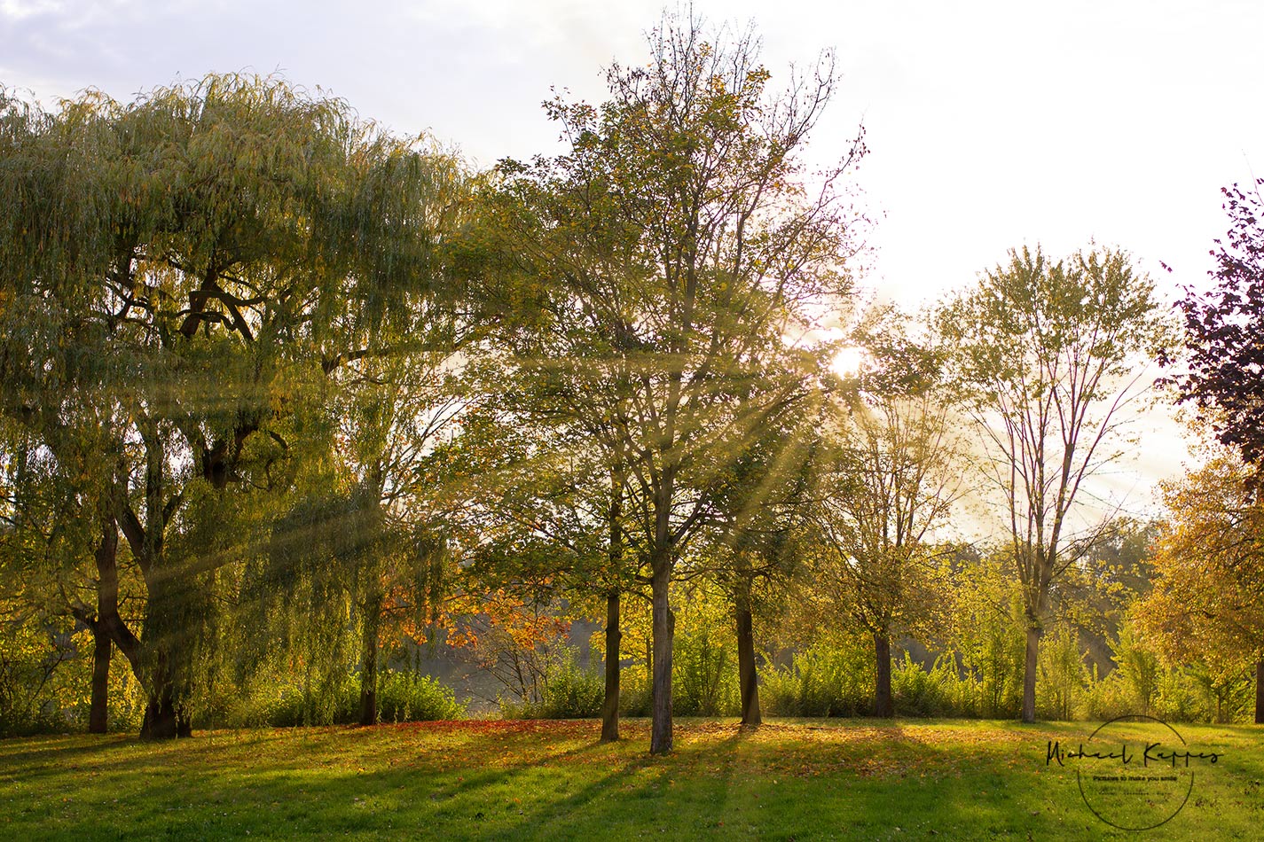 Herbstimpressionen 1