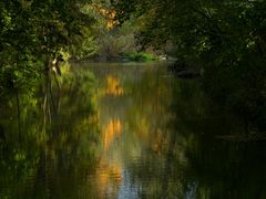 Herbstimpressionen (1)