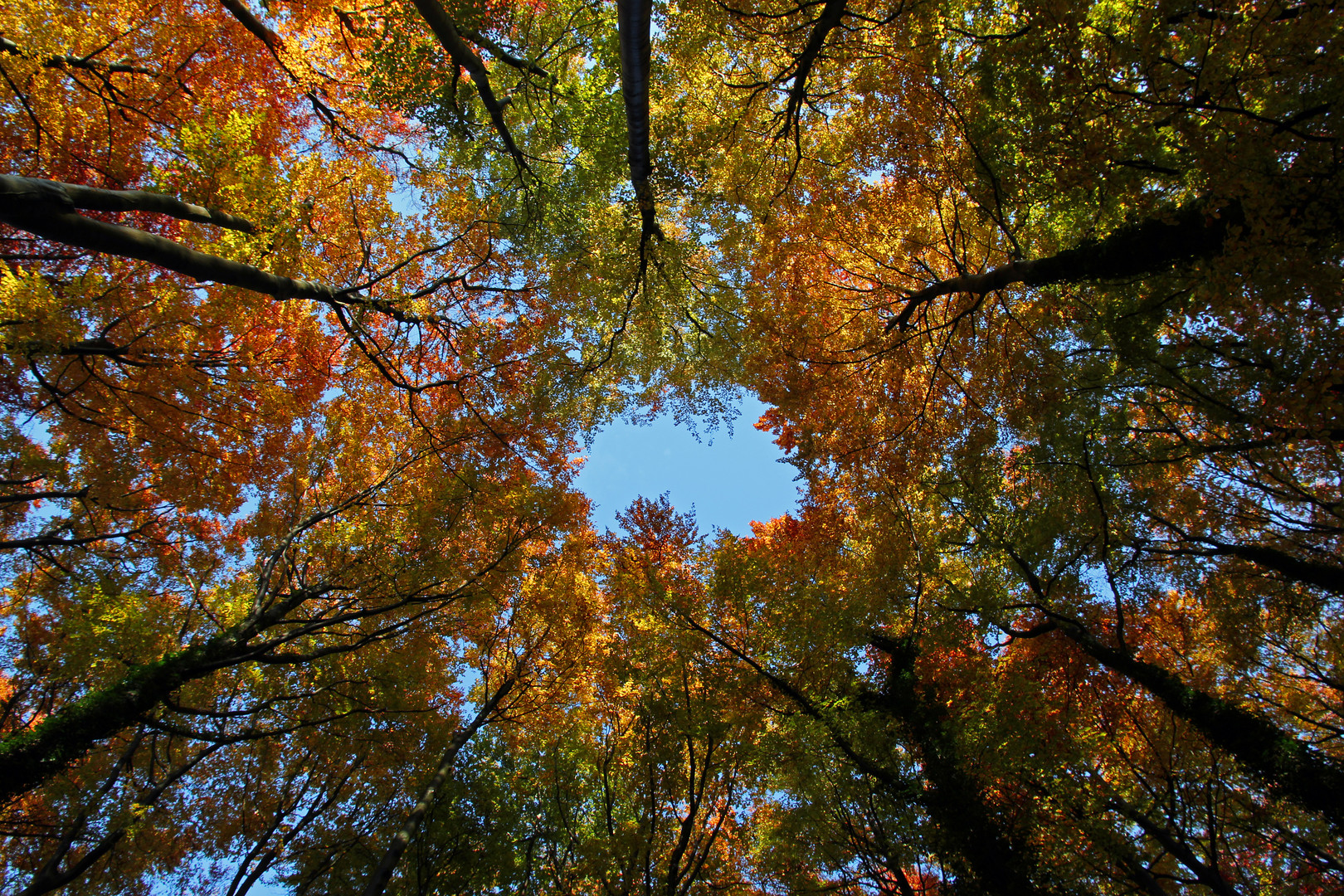 Herbstimpressionen