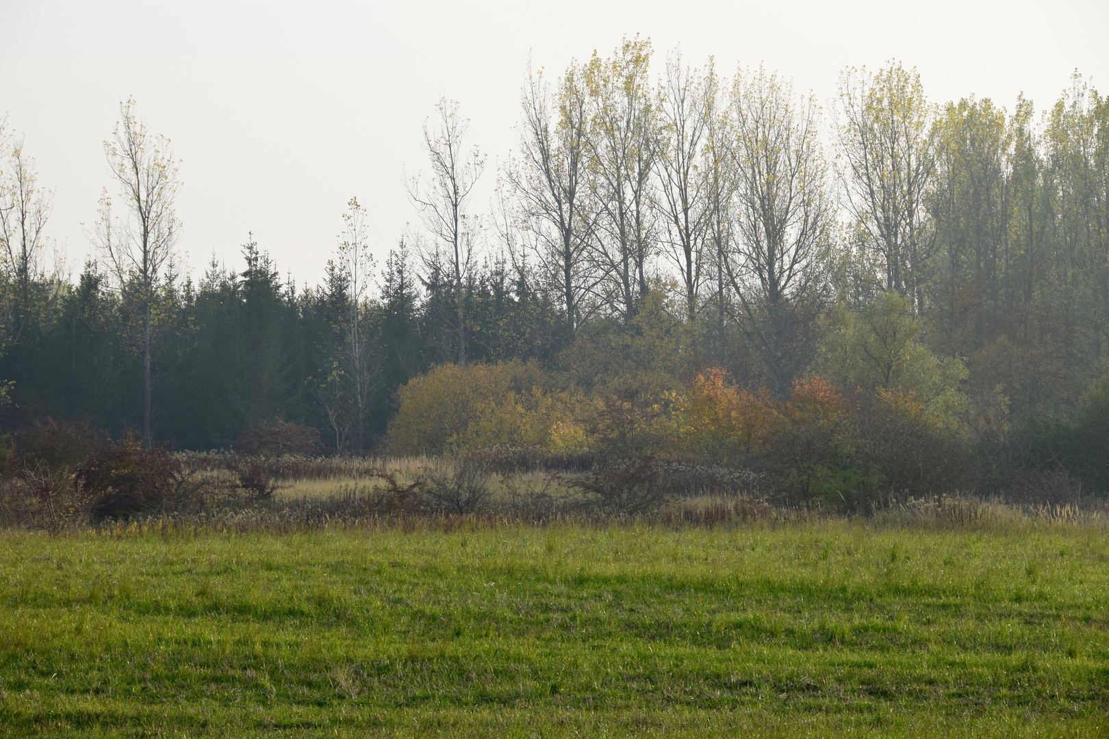 Herbstimpressionen