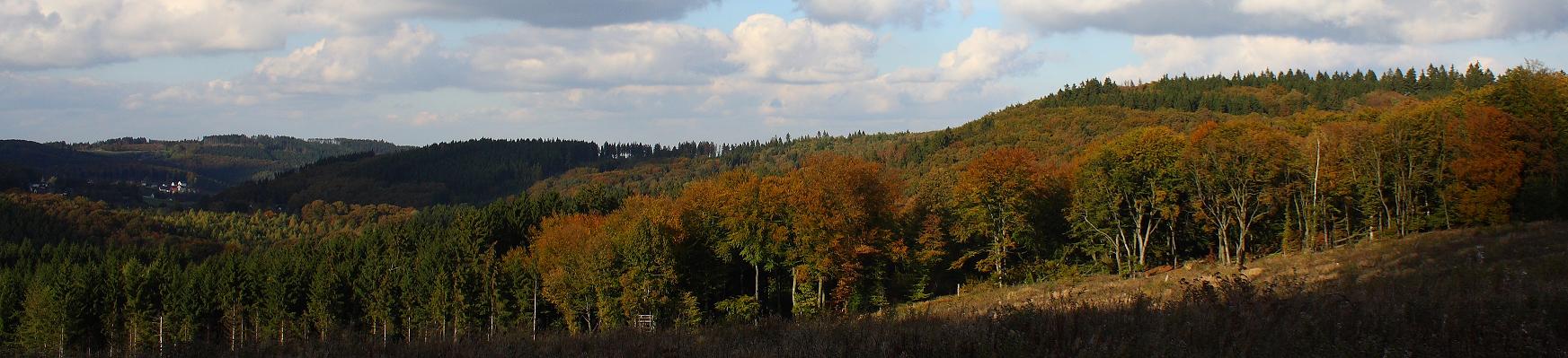 Herbstimpressionen