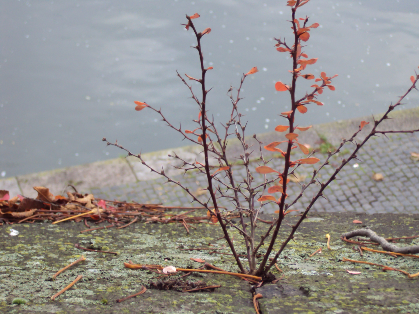 Herbstimpressionen