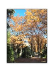 Herbstimpressionen 15