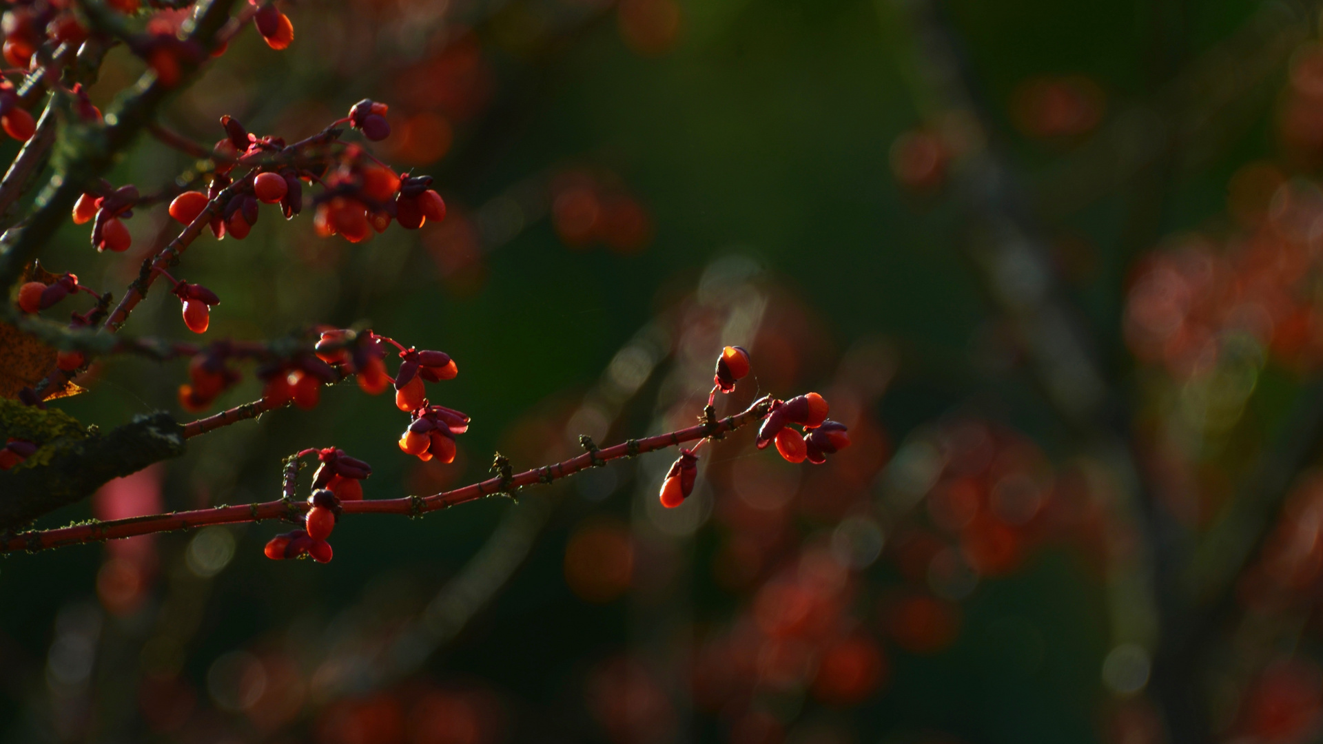 Herbstimpressionen 