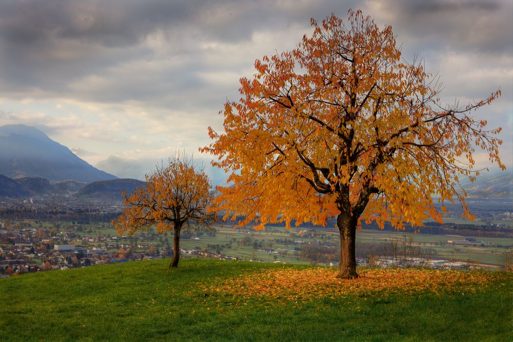 Herbstimpressionen