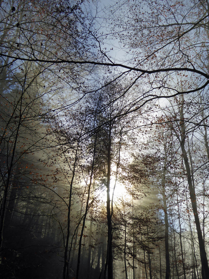 Herbstimpressionen