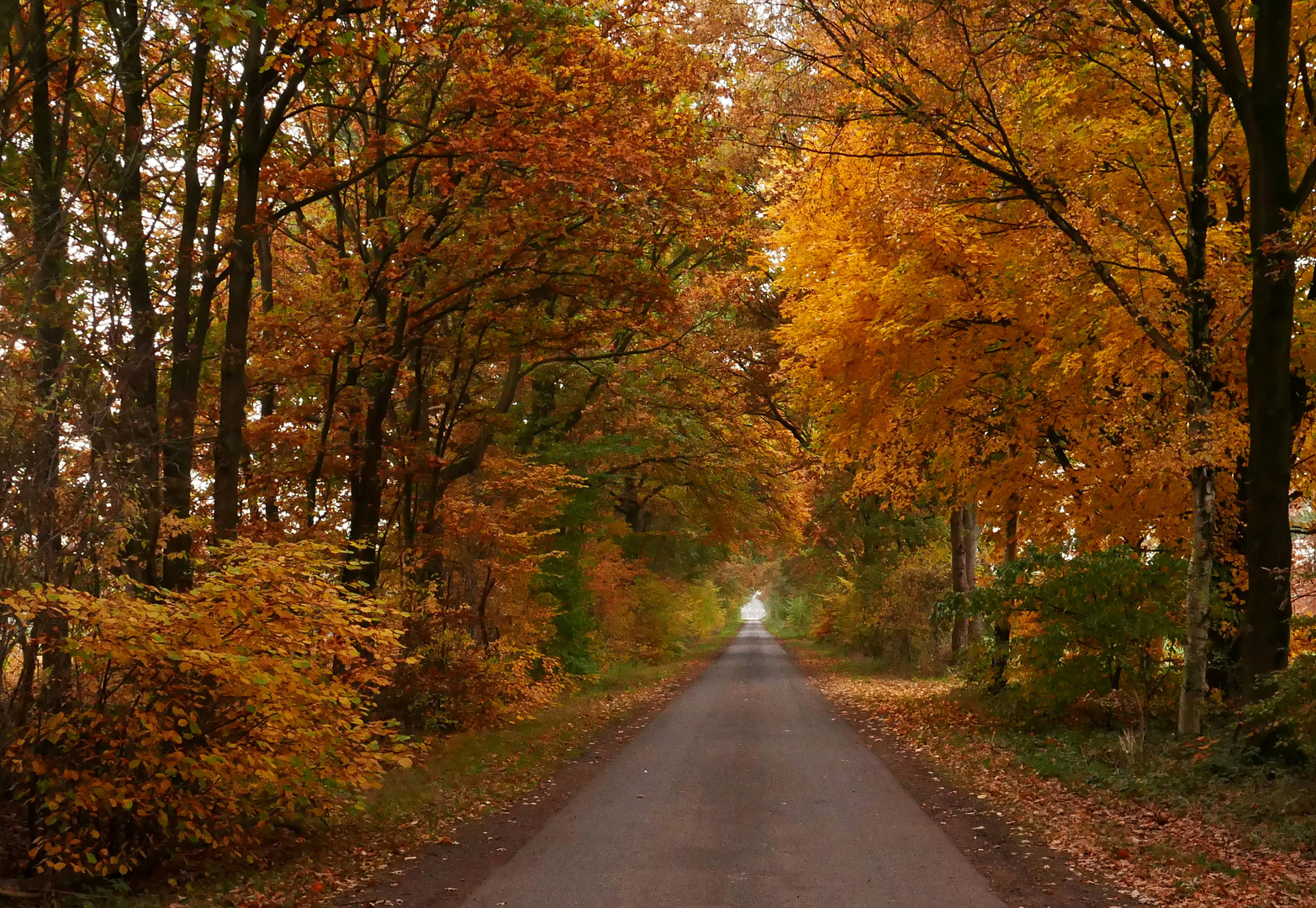 Herbstimpressionen.