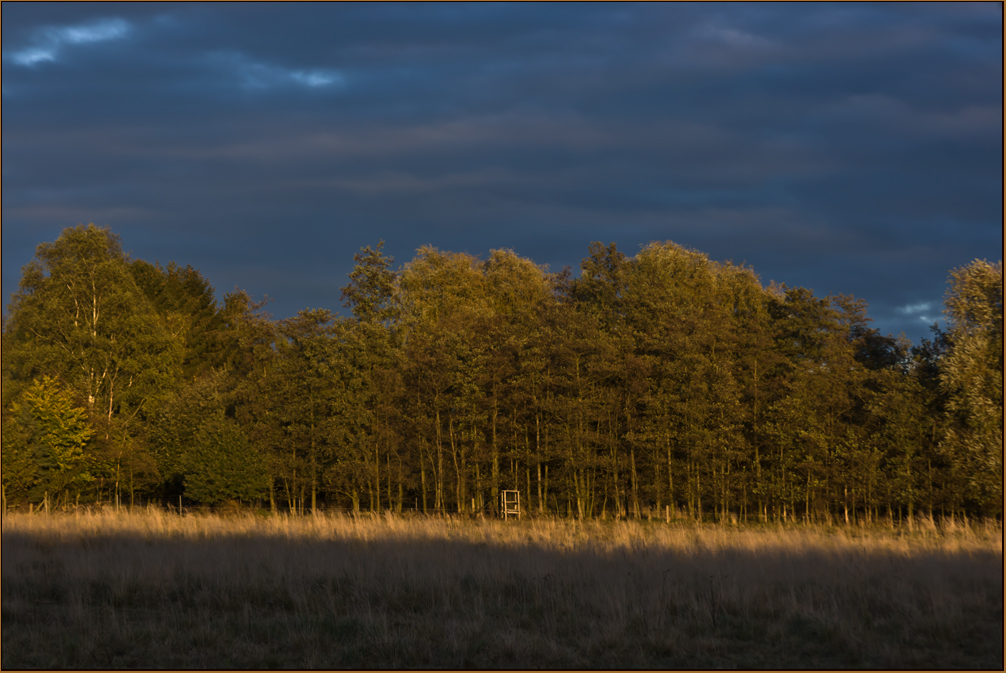 Herbstimpressionen ....