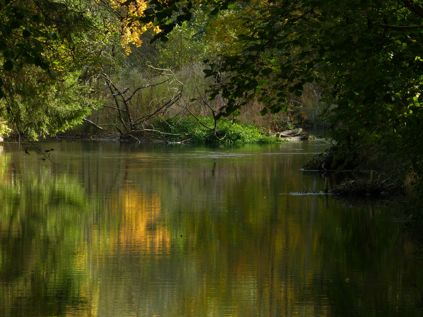 Herbstimpressionen (2)