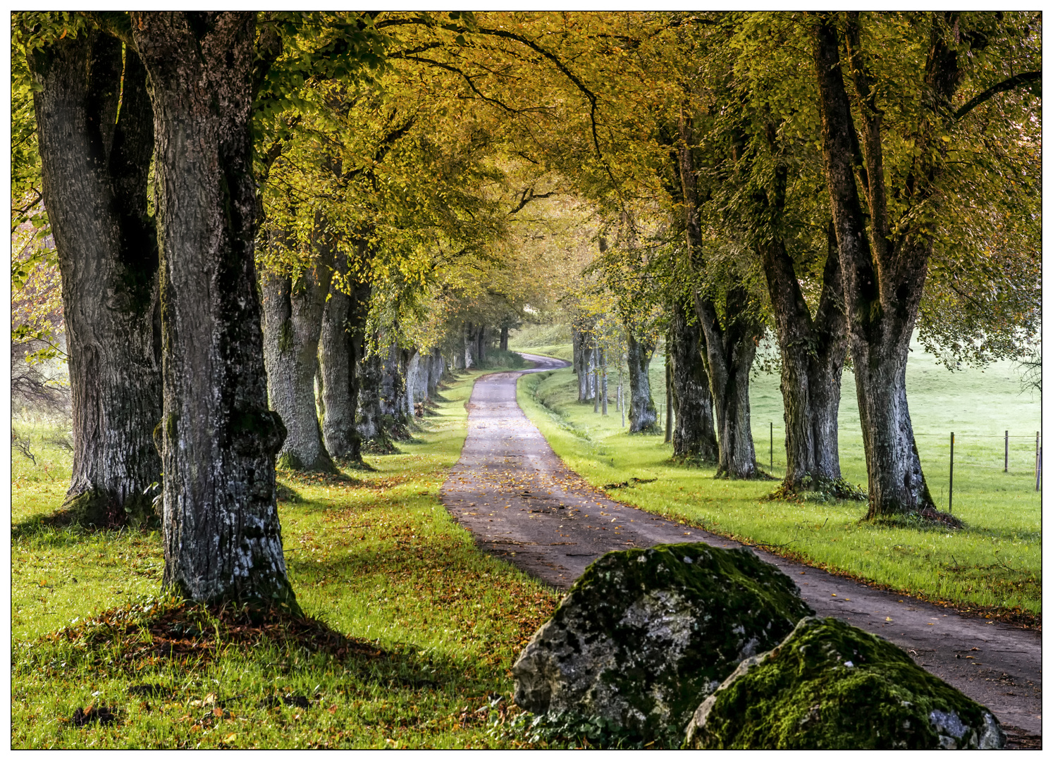 Herbstimpressionen 2.