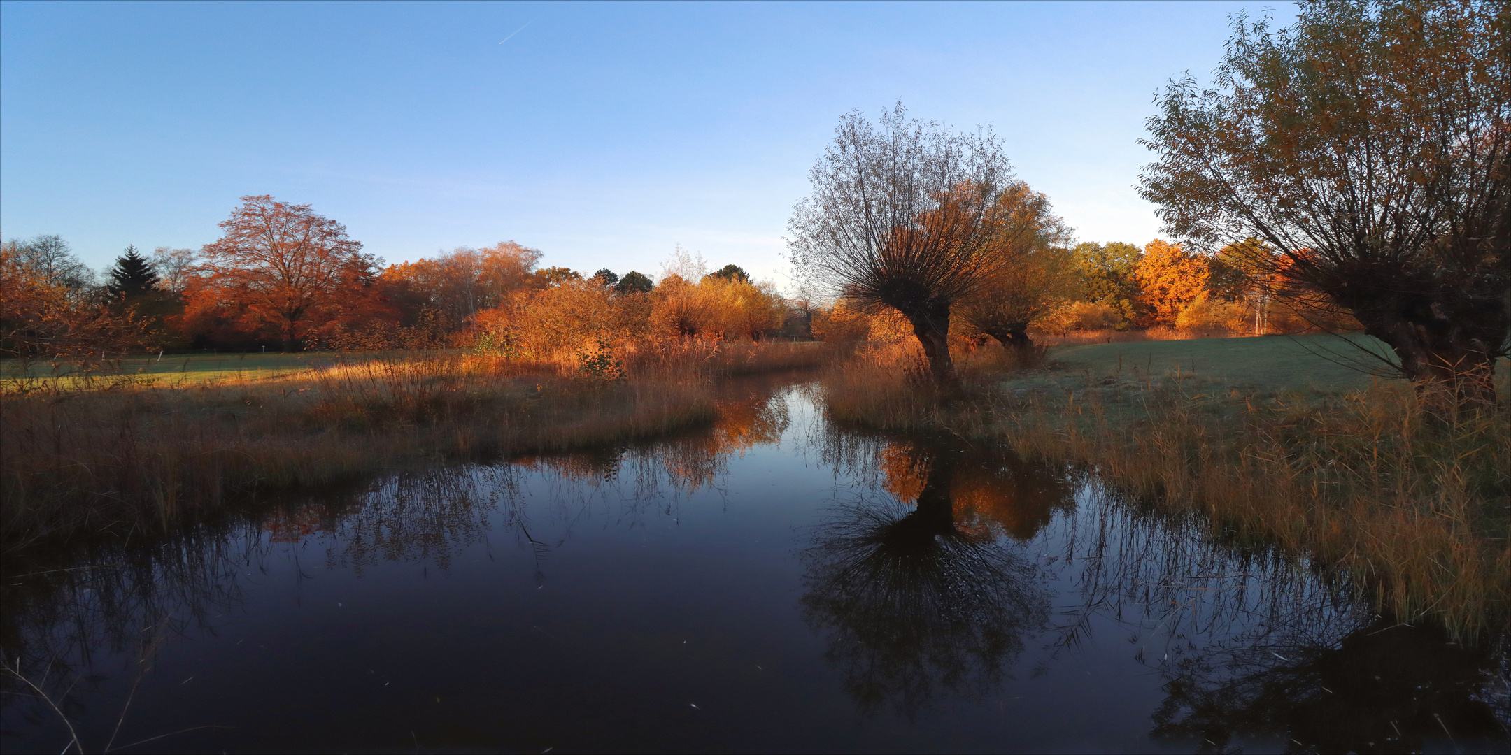 Herbstimpressionen 2