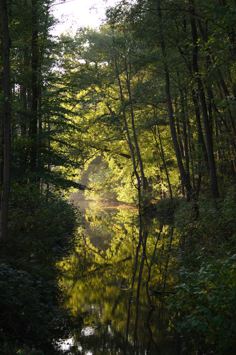 Herbstimpressionen 2