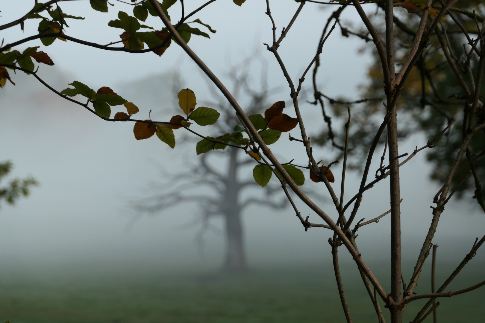 Herbstimpressionen 2