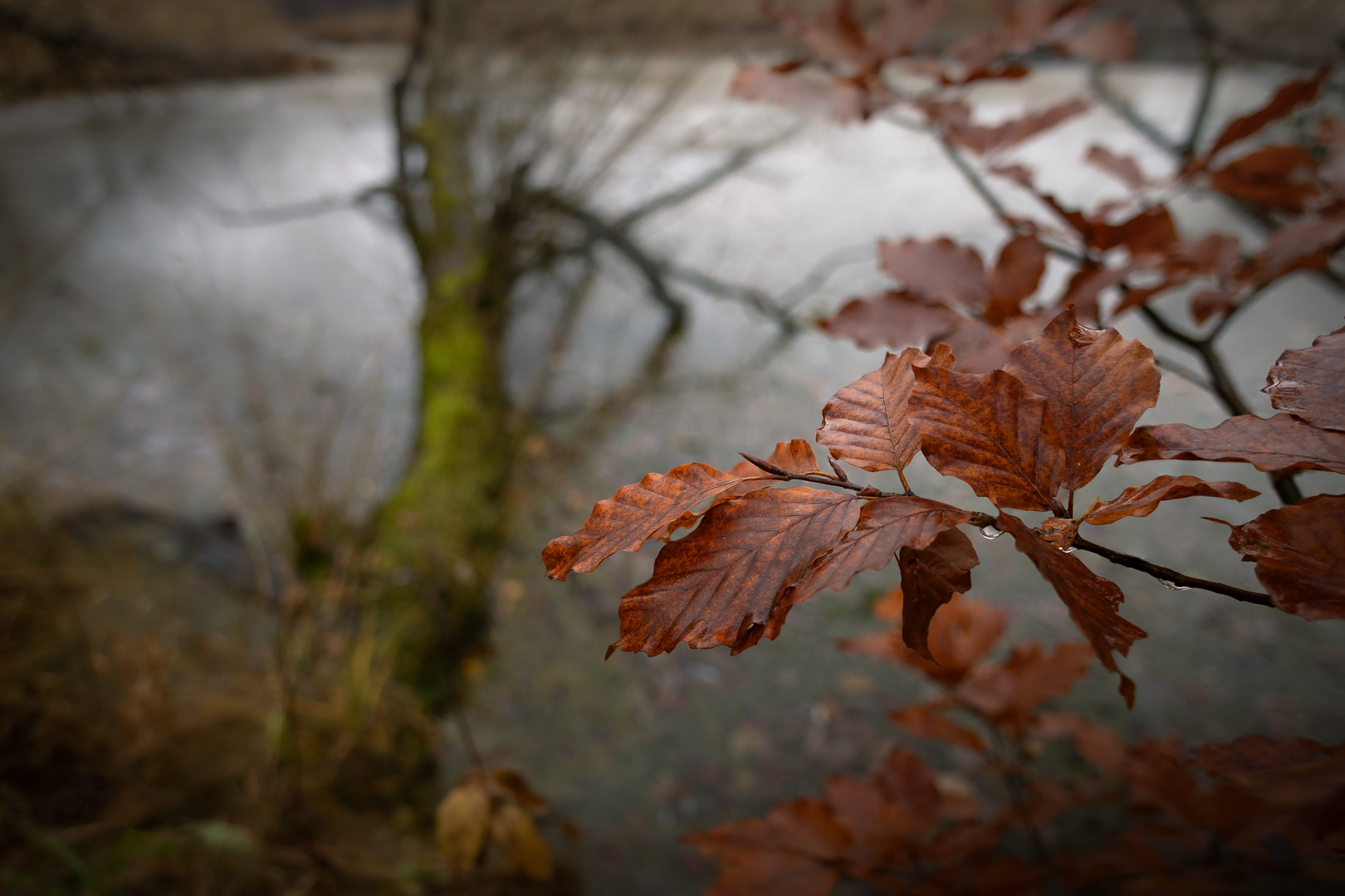 Herbstimpressionen (2)...