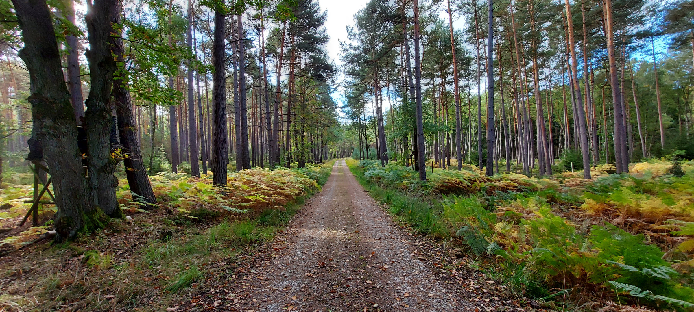 Herbstimpressionen 2