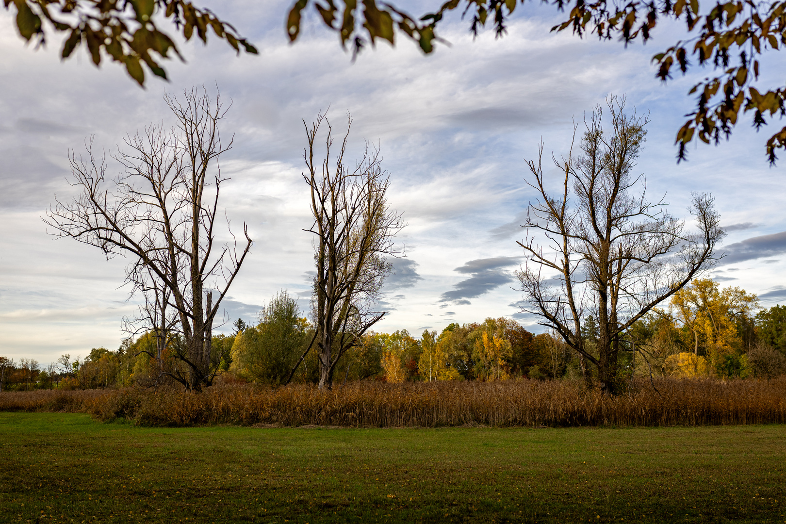 Herbstimpressionen (2)...