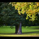 Herbstimpressionen #2