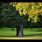 Herbstimpressionen #2