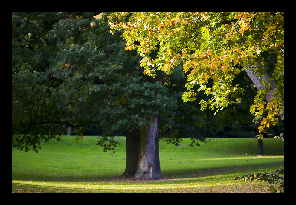 Herbstimpressionen #2