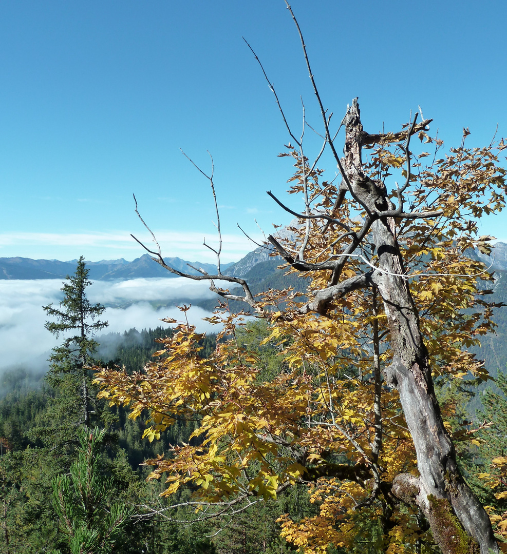 Herbstimpressionen 2