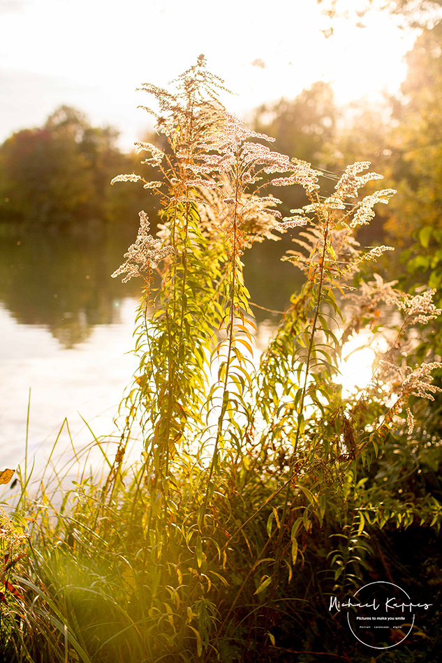 Herbstimpressionen 2