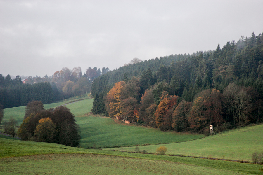 Herbstimpressionen 2