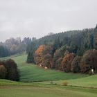 Herbstimpressionen 2