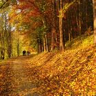 Herbstimpressionen 2007