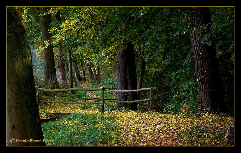 Herbstimpressionen 2008